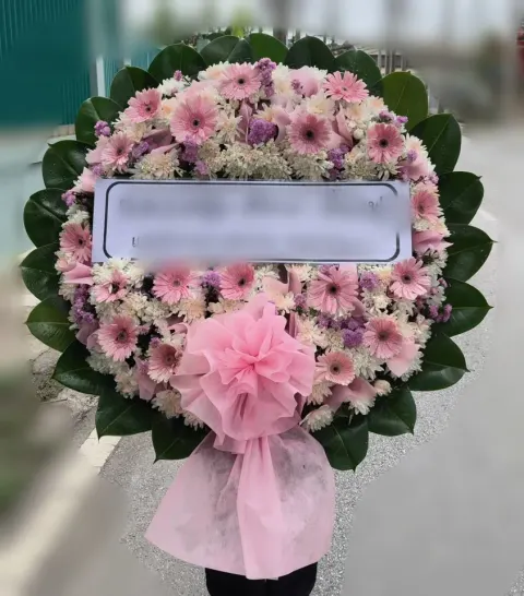 พวงหรีดเยอบีร่า โทนม่วงชมพู